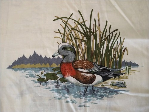 Vip cranston water - "water, birds