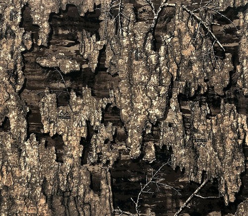 Realtree timber printed canvas - timber,